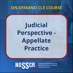 Judicial Perspective - Appellate Practice
